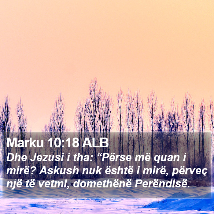 Marku 10:18 ALB Bible Study