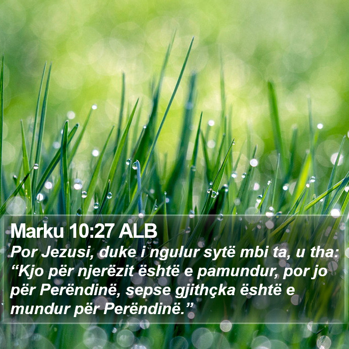 Marku 10:27 ALB Bible Study