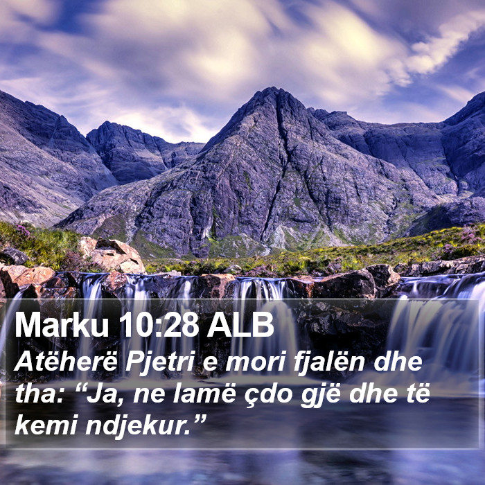 Marku 10:28 ALB Bible Study