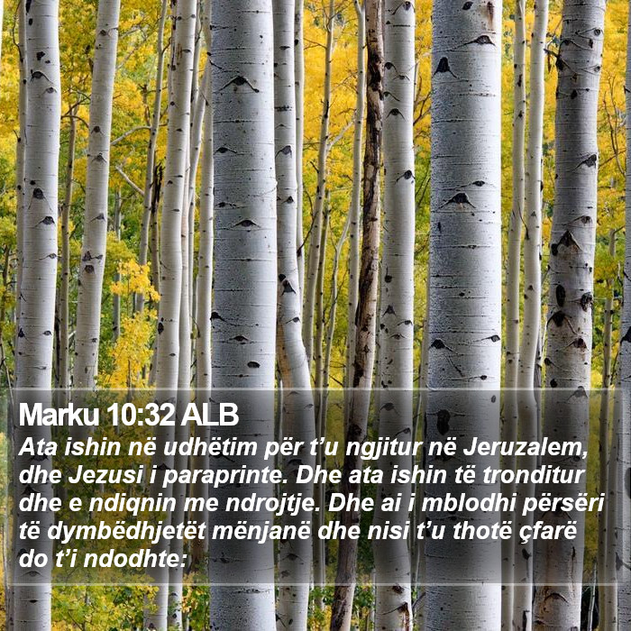 Marku 10:32 ALB Bible Study