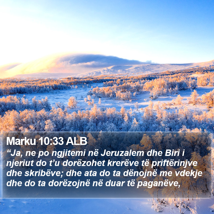 Marku 10:33 ALB Bible Study