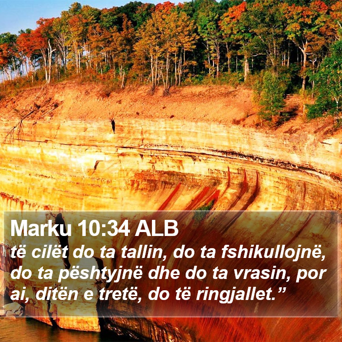 Marku 10:34 ALB Bible Study