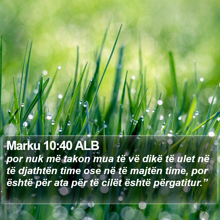 Marku 10:40 ALB Bible Study