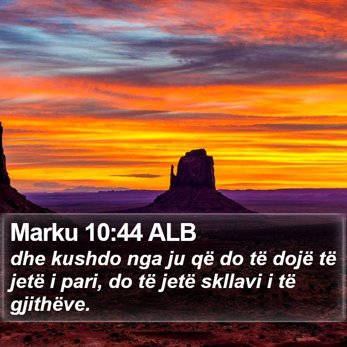 Marku 10:44 ALB Bible Study