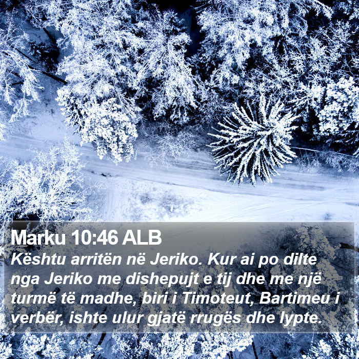 Marku 10:46 ALB Bible Study