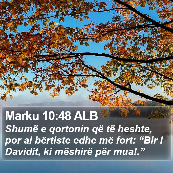 Marku 10:48 ALB Bible Study