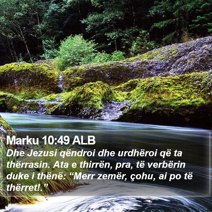 Marku 10:49 ALB Bible Study