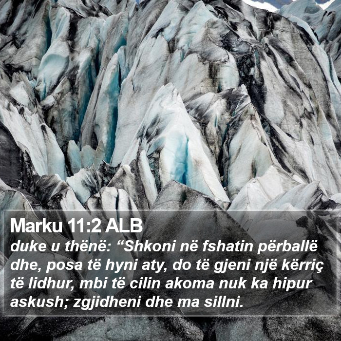 Marku 11:2 ALB Bible Study
