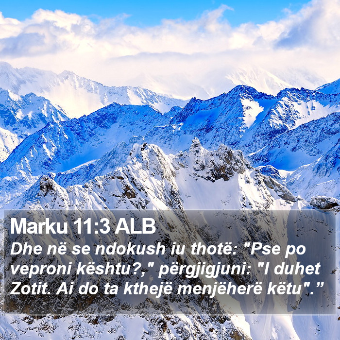 Marku 11:3 ALB Bible Study