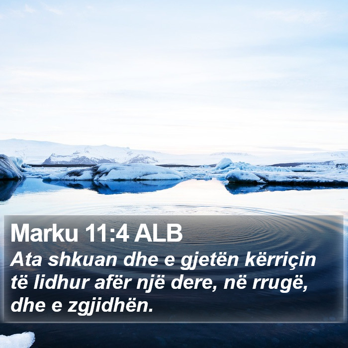 Marku 11:4 ALB Bible Study