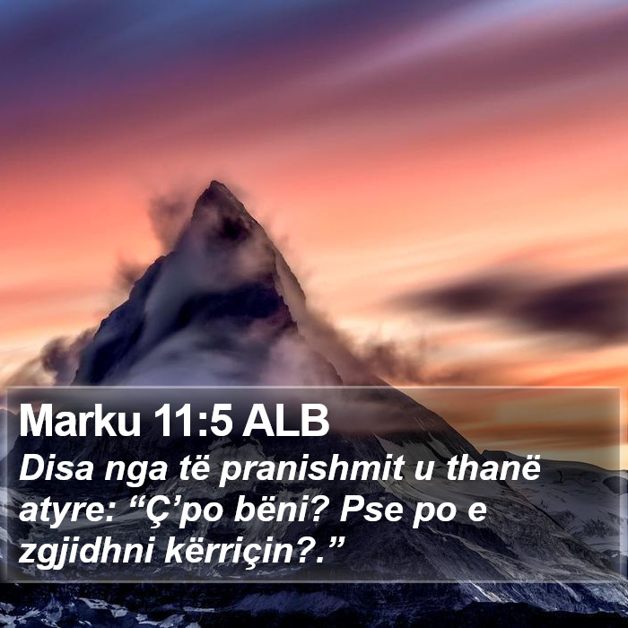 Marku 11:5 ALB Bible Study