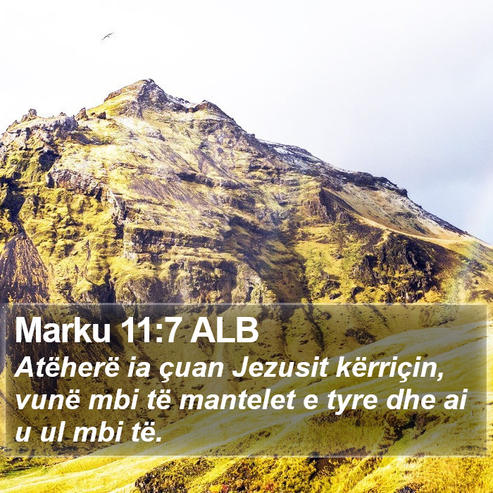 Marku 11:7 ALB Bible Study