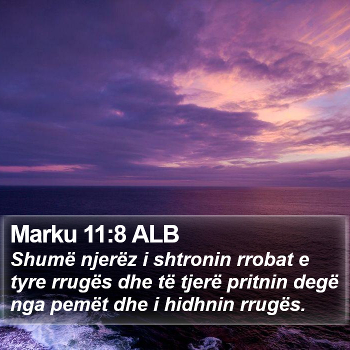 Marku 11:8 ALB Bible Study