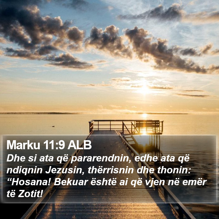 Marku 11:9 ALB Bible Study