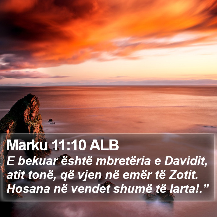 Marku 11:10 ALB Bible Study