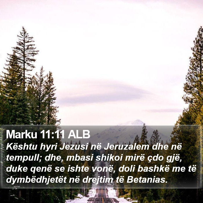 Marku 11:11 ALB Bible Study