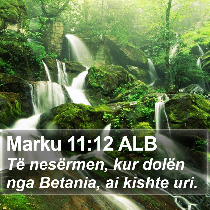 Marku 11:12 ALB Bible Study