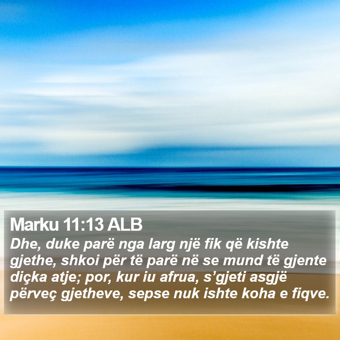 Marku 11:13 ALB Bible Study