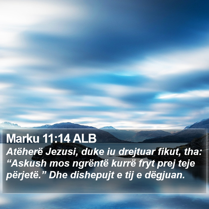 Marku 11:14 ALB Bible Study