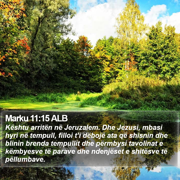 Marku 11:15 ALB Bible Study