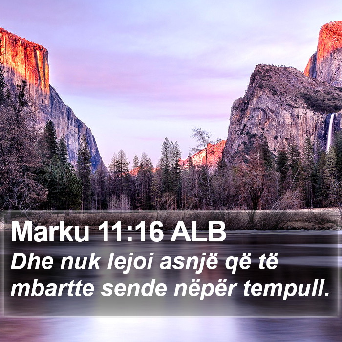 Marku 11:16 ALB Bible Study