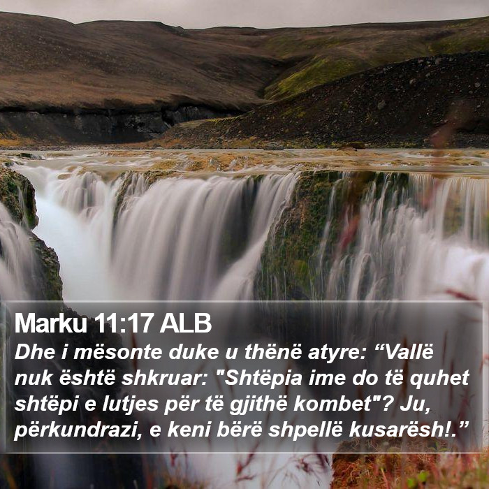 Marku 11:17 ALB Bible Study