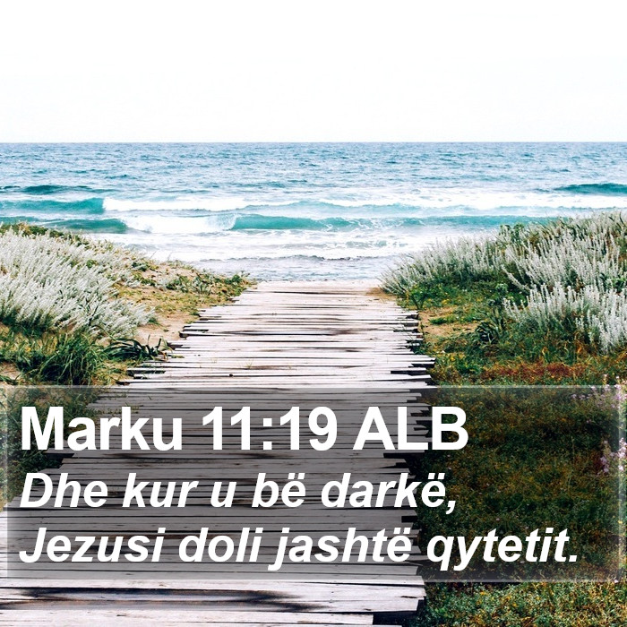 Marku 11:19 ALB Bible Study