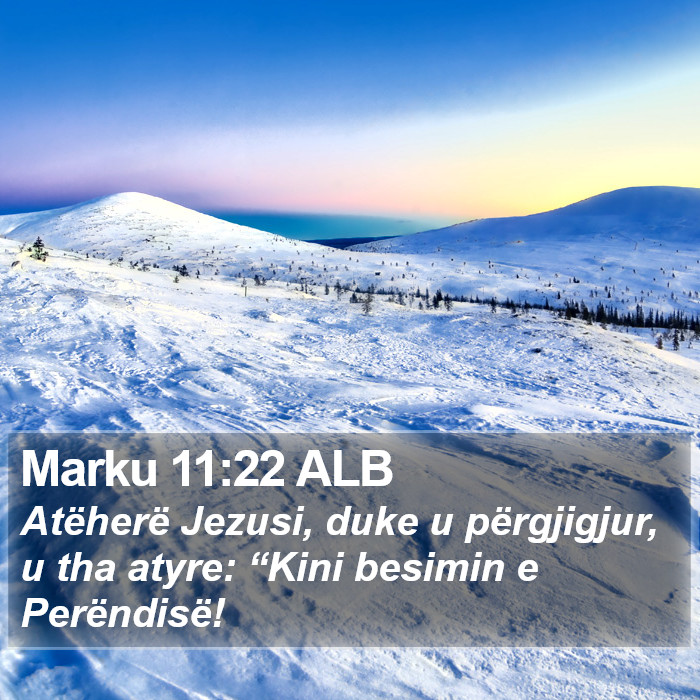 Marku 11:22 ALB Bible Study