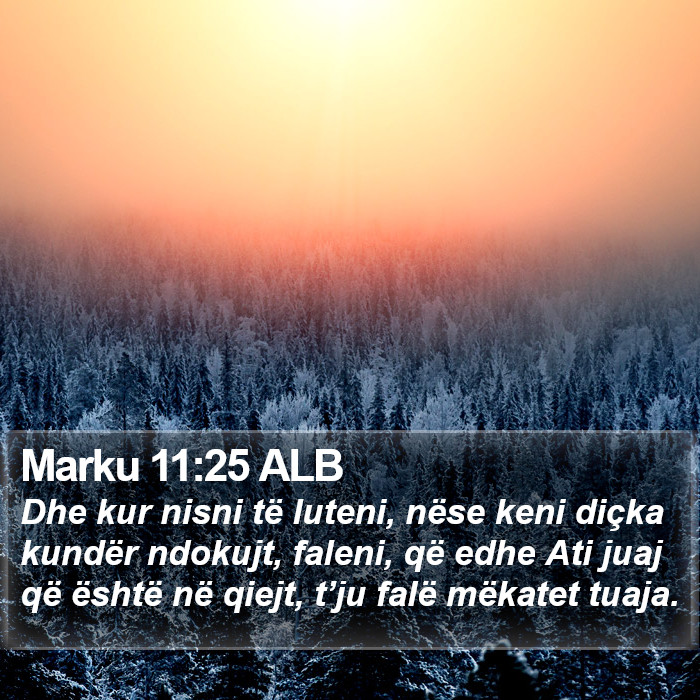 Marku 11:25 ALB Bible Study