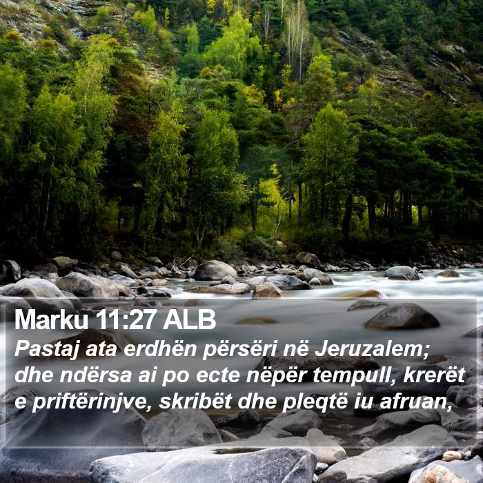 Marku 11:27 ALB Bible Study