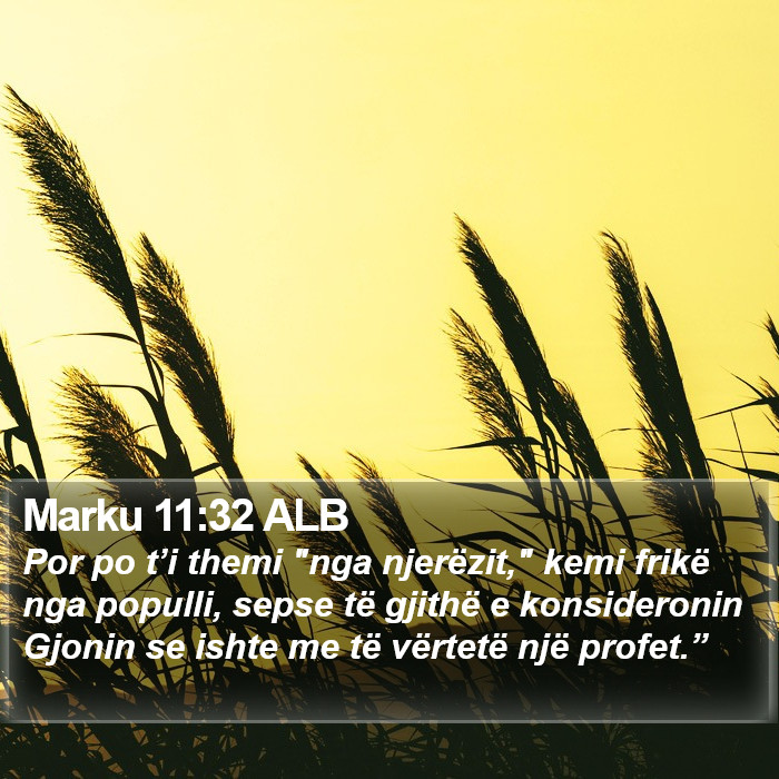Marku 11:32 ALB Bible Study