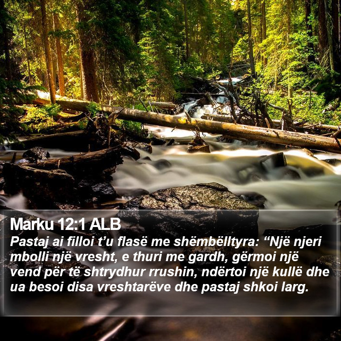 Marku 12:1 ALB Bible Study