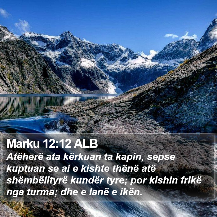 Marku 12:12 ALB Bible Study