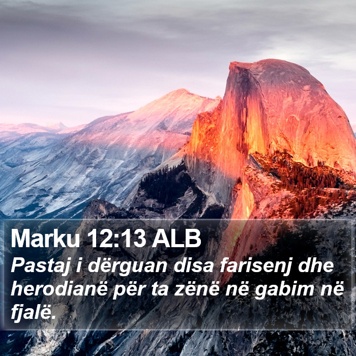 Marku 12:13 ALB Bible Study