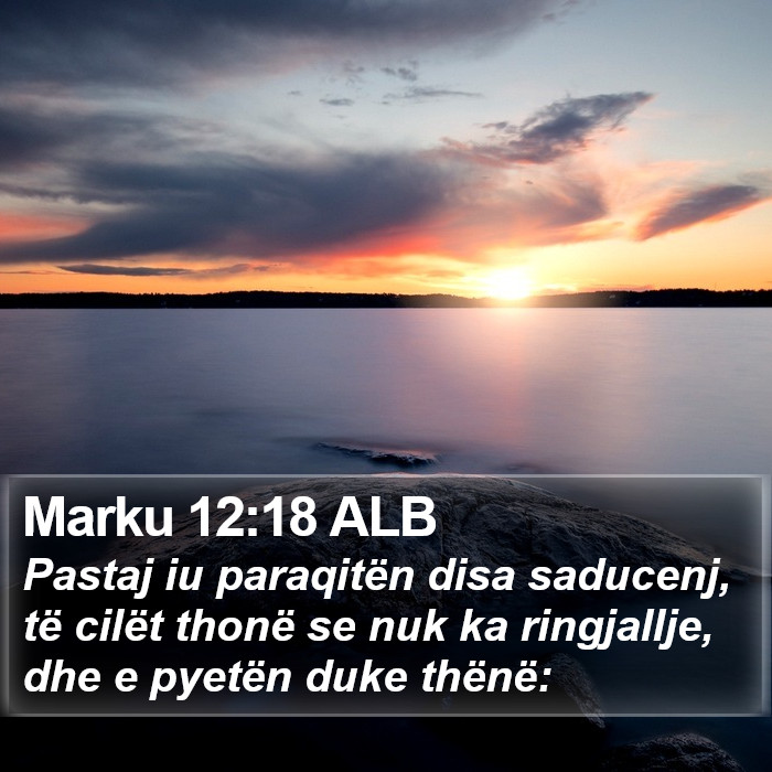 Marku 12:18 ALB Bible Study