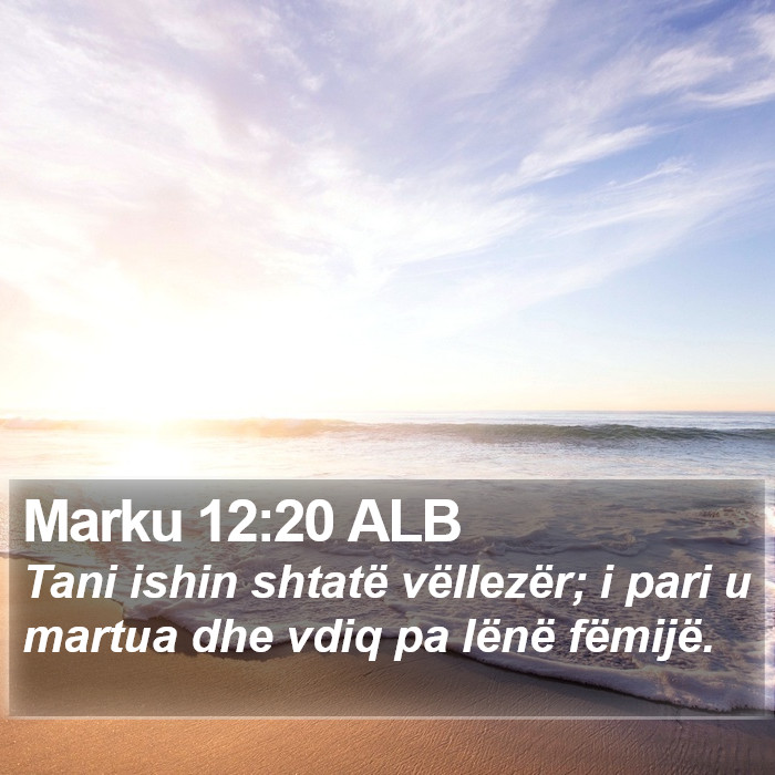 Marku 12:20 ALB Bible Study