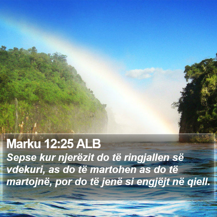 Marku 12:25 ALB Bible Study