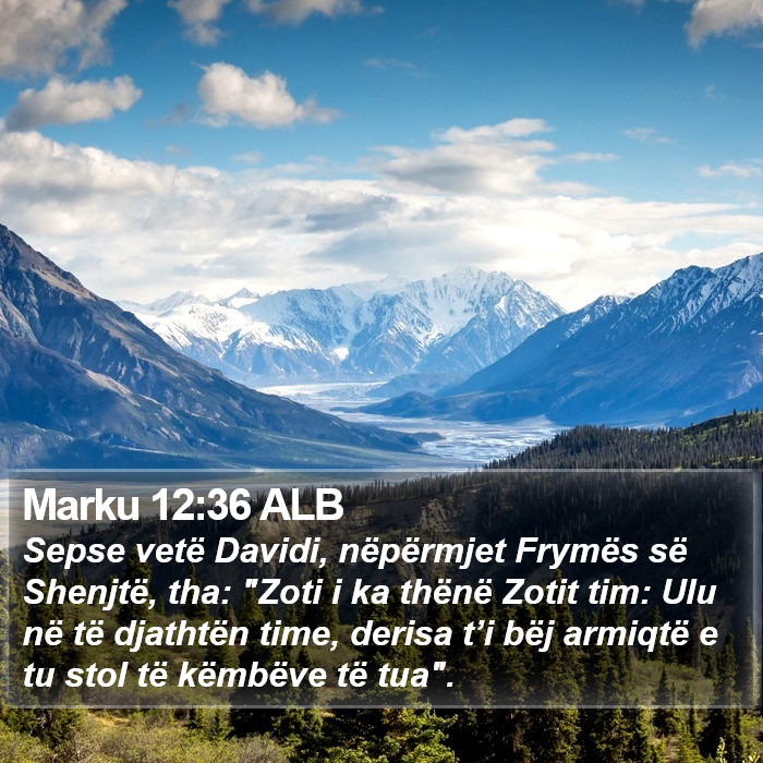 Marku 12:36 ALB Bible Study