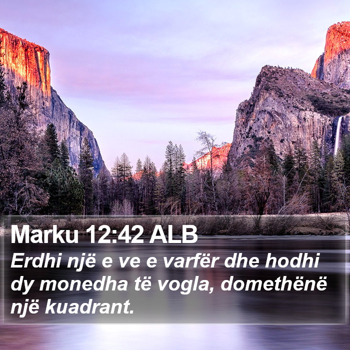 Marku 12:42 ALB Bible Study