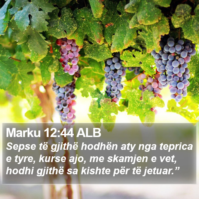 Marku 12:44 ALB Bible Study