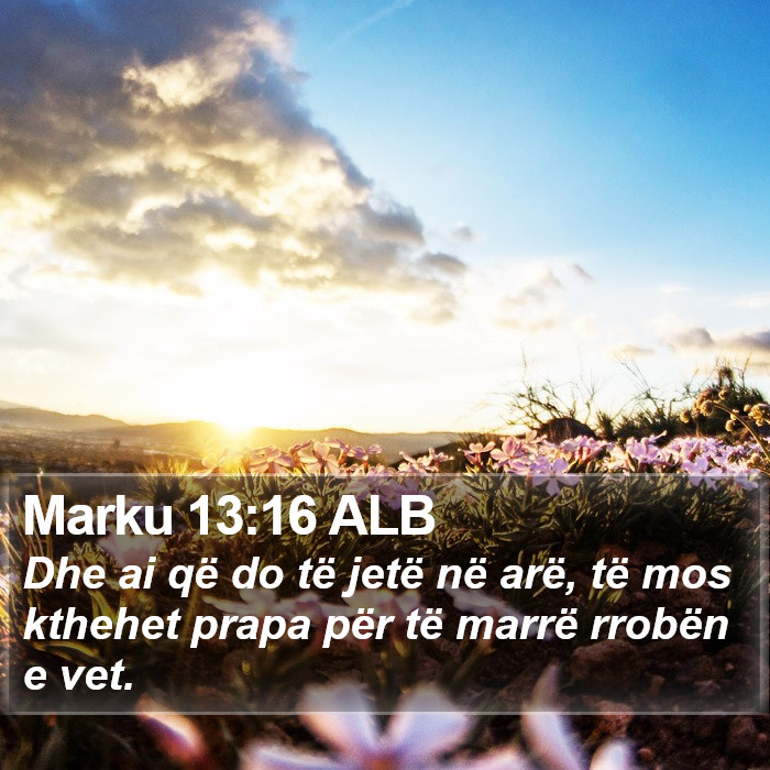 Marku 13:16 ALB Bible Study