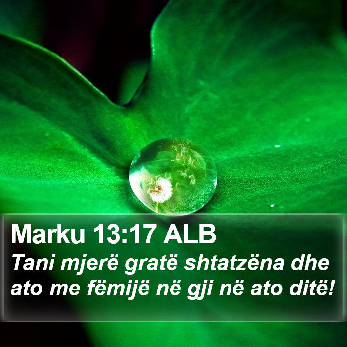 Marku 13:17 ALB Bible Study