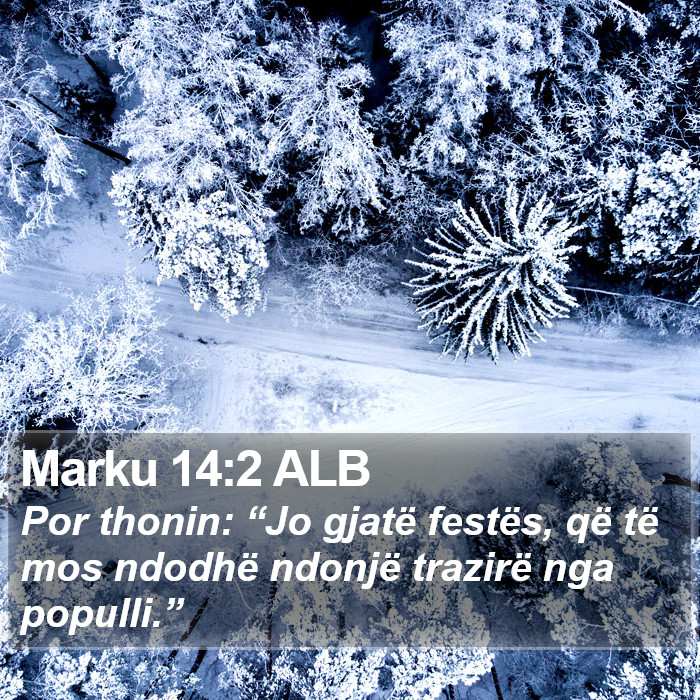 Marku 14:2 ALB Bible Study