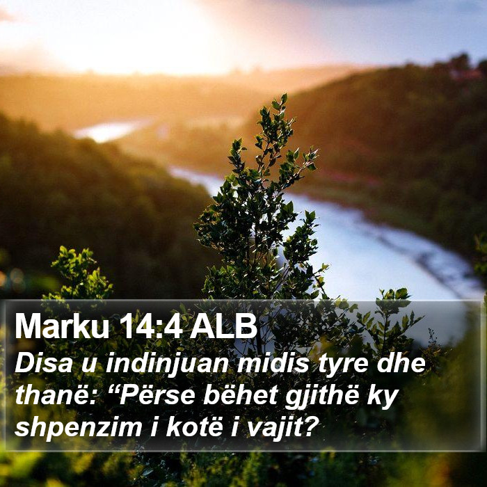 Marku 14:4 ALB Bible Study