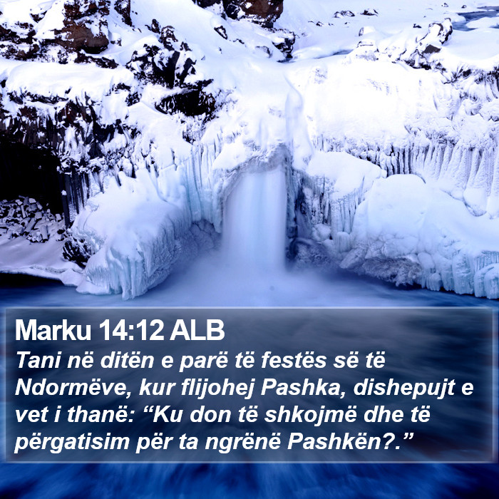Marku 14:12 ALB Bible Study