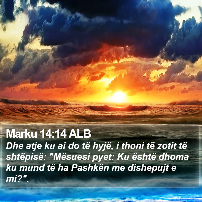 Marku 14:14 ALB Bible Study