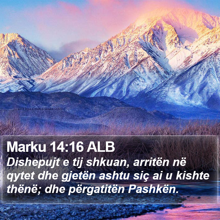 Marku 14:16 ALB Bible Study