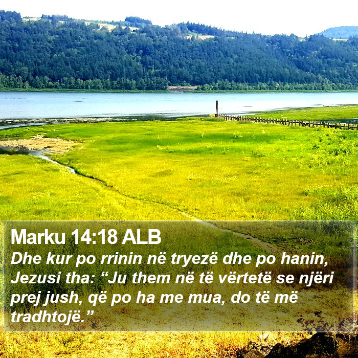 Marku 14:18 ALB Bible Study