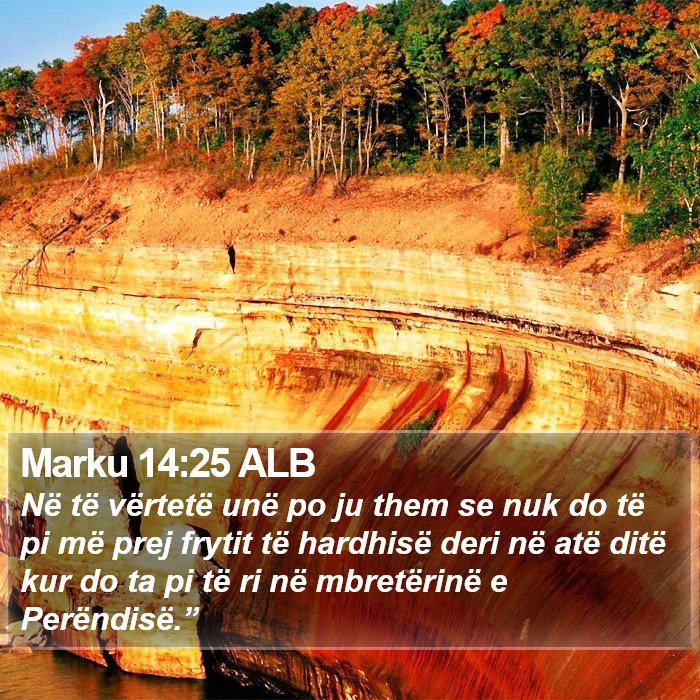 Marku 14:25 ALB Bible Study