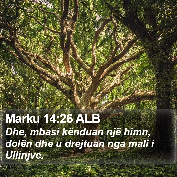 Marku 14:26 ALB Bible Study